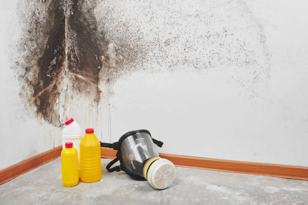 Certified Mold Removal in Marysville, KS