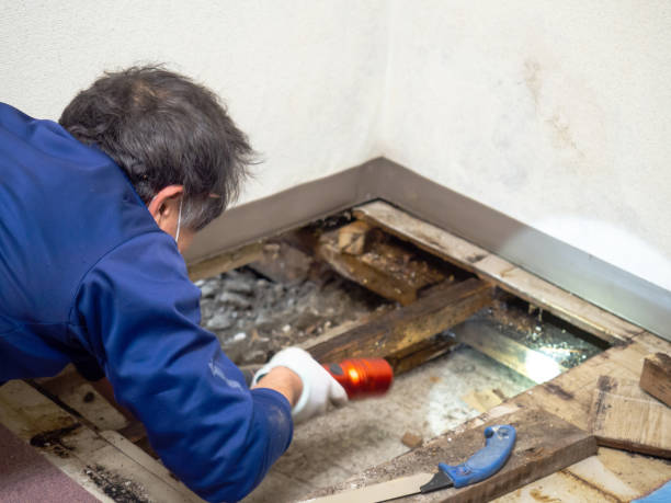 Best Mold Testing  in Marysville, KS
