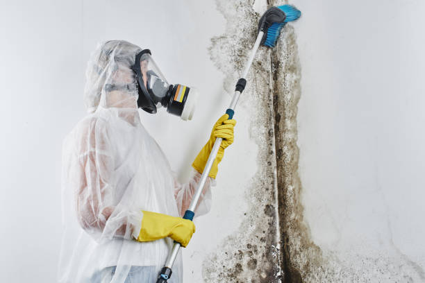 Best Mold Testing  in Marysville, KS