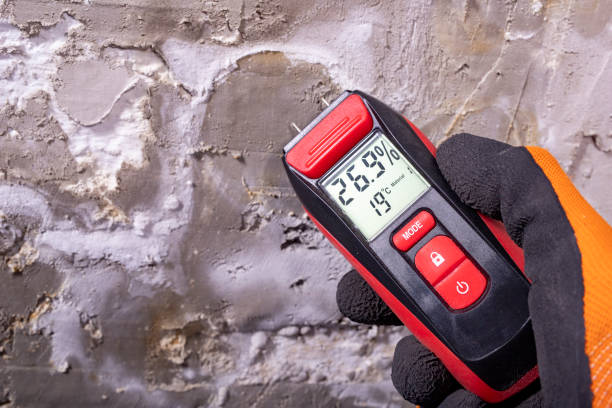 Best Affordable Mold Removal  in Marysville, KS
