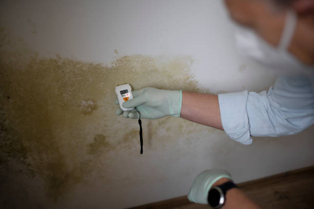Best Residential Mold Removal  in Marysville, KS
