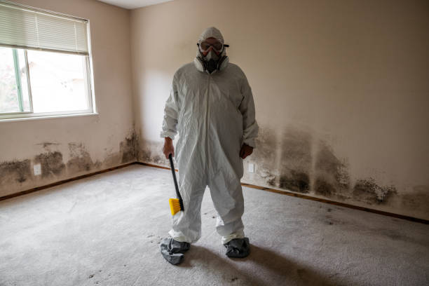 Best Mold Remediation  in Marysville, KS